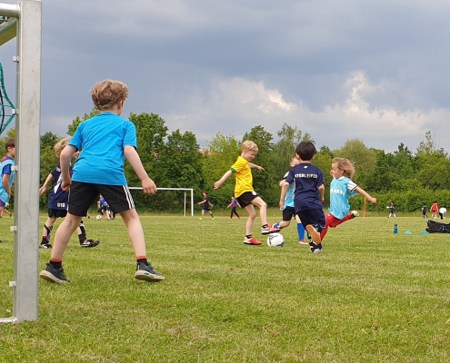 Unser Jüngsten ganz groß - Mini-Fußball-Turnier am Sonntag